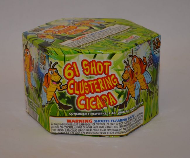 200 Grams Repeaters – 61 Shot Clustering Cicada 1